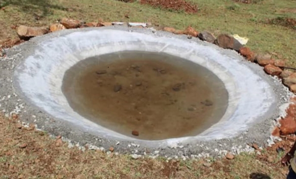 Arrangements for 240 water bodies to quench the thirst of wildlife in the Tiger Project