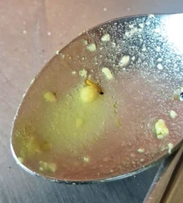 जेवणात अळ्या