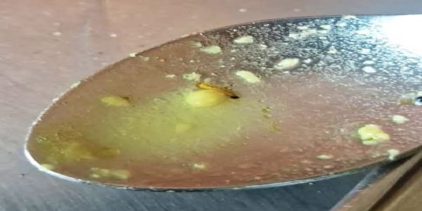 लातूर -वस्तीगृहातील जेवणामध्ये निघाल्या आळ्या