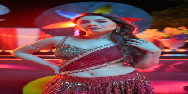 ‘सालबर्डी’ चित्रपटात सोनालीचा दिलखेचक अंदाज