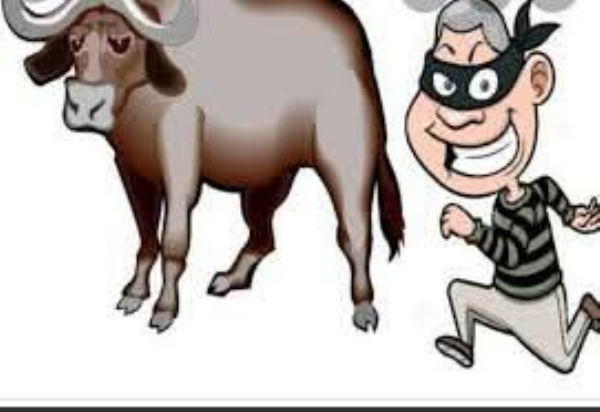 लातूर पोलीस