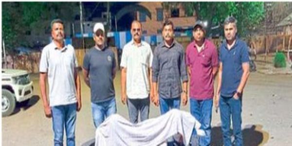 अमरावती - बकऱ्या चोरणारे त्रिकूट अटकेत; दोन गुन्ह्यांची कबुली