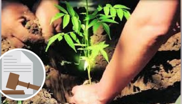 New twist in Chinchoti forest scam case; Court orders