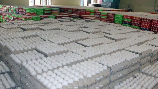 TN EGG INDUSTRY NAMAKKAL PRICE FALL AFFECTED WEST