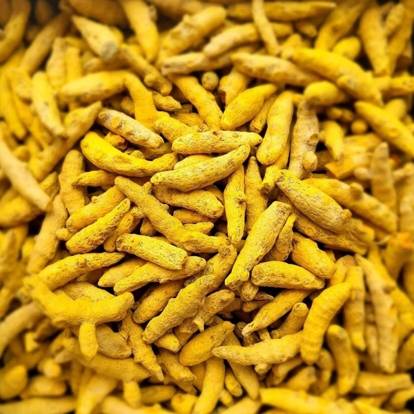 Turmeric