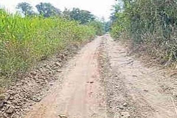 शेतकर्यांना शेतरस्त्यावरील अतिक्रमण भोवणार आधार व फार्मर आयडी होणार ब्लॉक!