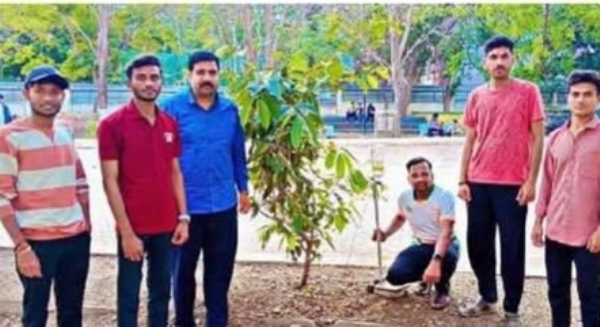 वृक्ष संवर्धन