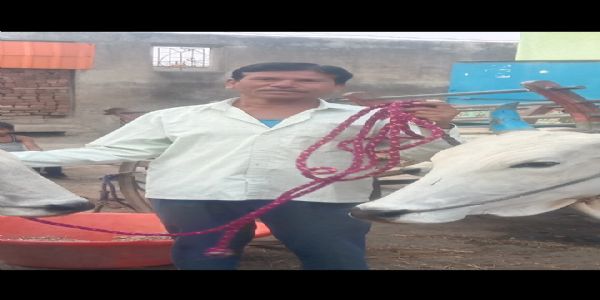 अकोला: ट्रकची दुचाकीला धडक, एकाचा मृत्यू