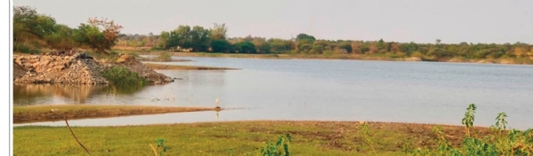 पाणीसाठा