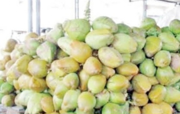 शहाळ्याची मागणी शहाळ्याची मागणी