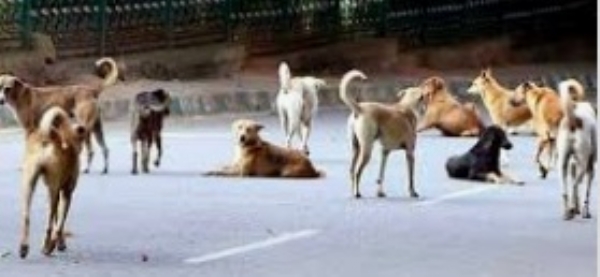 7000-attacks-yet-the-adminis