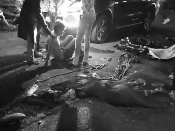 Horrific Accident Surendranagar Gujarat Horrific Accident Surendranagar Gujarat