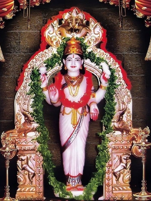 २६ एप्रिल रोजी राज्यभर वासवी मातेचा जन्मोत्सव साजरा करण्याचे आवाहन