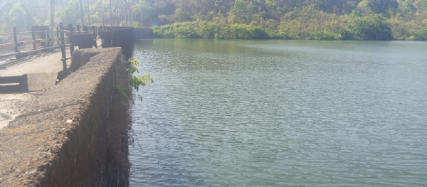 20 out of 28 dams have less than 50% storage; threat of water crisis looms