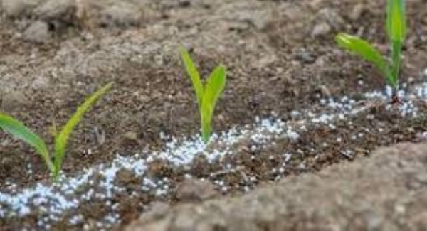 आखाती तणावाचा फटका शेतीला; प्लास्टिक दरवाढीमुळे ठिबक, पीव्हीसी पाइप महाग