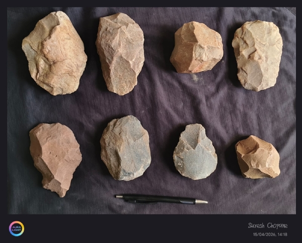 चंद्रपूर तालुक्यात धानोरा जवळ अतिशय दुर्मिळ जीवाश्मे आढळली.