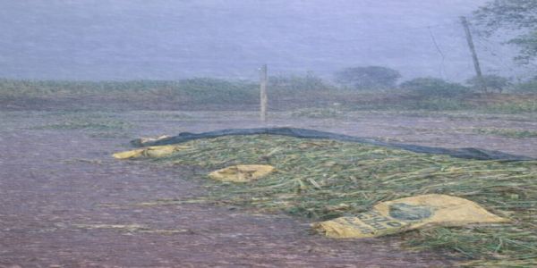 नाशिकमध्ये मुसळधार पाऊस, सखल भागात पाणीच पाणी