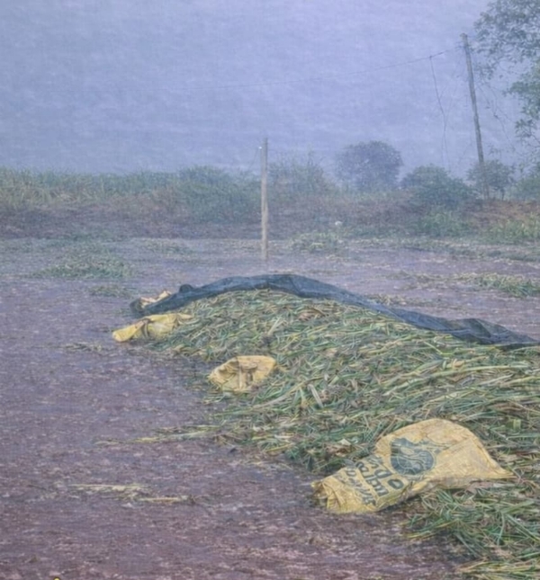 Heavy rain in Nashik