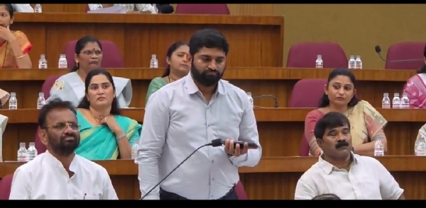 Did Fadnavis seek a report