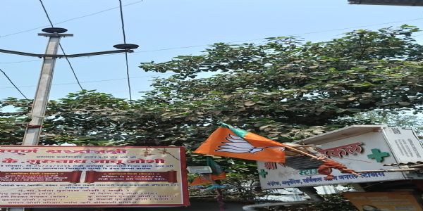 डोंबिवलीत वीज वितरणची झाडे छाटणी कामे देखाव्यापुरतीच