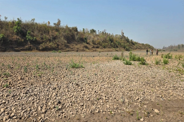 मेळघाटातील नद्या एप्रिलमध्येच आटल्या वन्यजीवांसमोर पाण्याचे गंभीर संकट