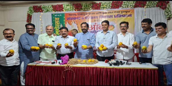 ठाणेकर चाखणार अस्सल हापूस आंब्याची चव; आंबा महोत्सव १ मे पासून