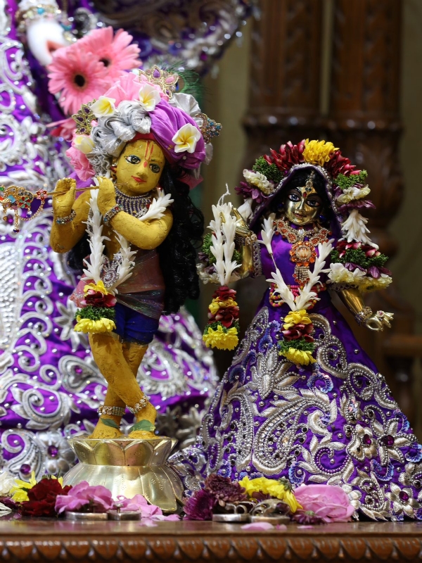 A shower of devotion in