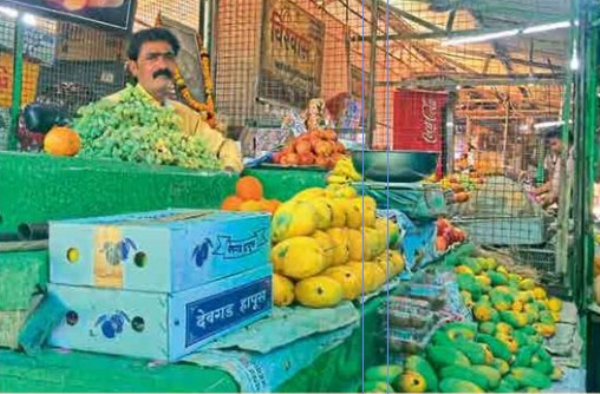 फळबाजारात देवगड हापूसचा राजासारखा थाट केशर, दशहरीसह विविध जातींची मांदियाळी