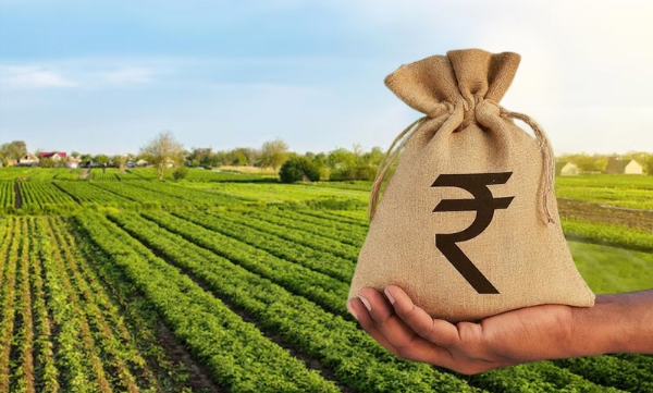 पीककर्जाचे दर जाहीर, लक्ष्य ठरले नाही; शेतकरी प्रतीक्षेत