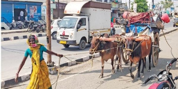 मेंढपाळांची 