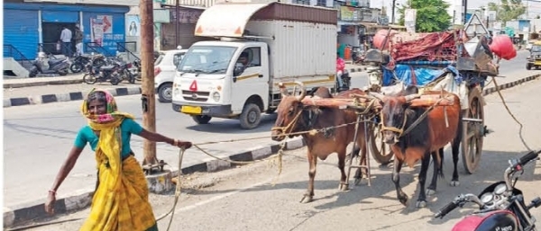 रखरखते ऊन
