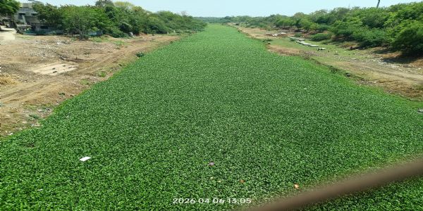 अकोल्यात ‘आपली नदी, आपली जबाबदारी’ अभियानाचा शुभारंभ