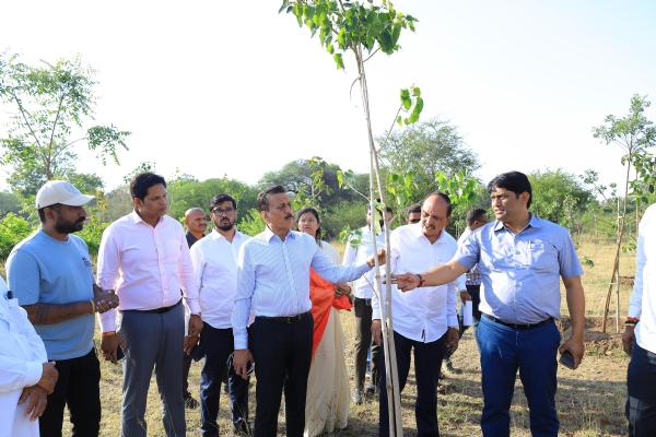 Trees in 7 acres of Panchavati
