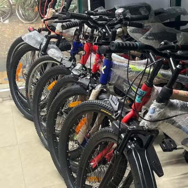 इंधनविरहित वाहनालाही फटका; सायकलचे दर वाढले लोखंडाच्या किमती वाढल्याचा बसतोय फटका : तरुणाईत वाढतोय आकर्षक सायकलची क्रेझ