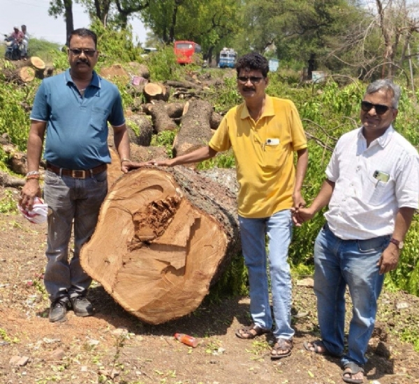 पर्यावरणप्रेमींचा पुढाकार; वृक्षतोडीला रेड सिग्नल, 250 झाडे वाचली पर्यावरणप्रेमींचा पुढाकार; वृक्षतोडीला रेड सिग्नल, 250 झाडे वाचली