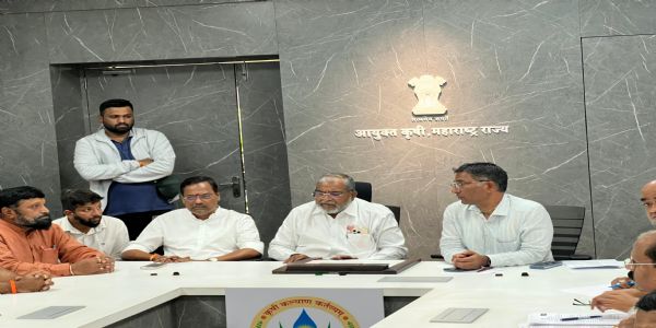 पुणे : बोगस औषधांमुळे आंबा-काजू बागांचे नुकसान; भरपाईची मागणी