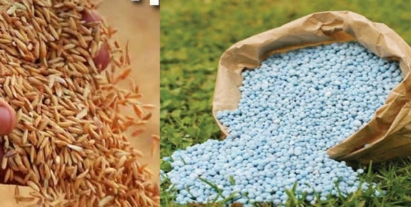 Agriculture Department keeps a close eye on the sale of fertilizers and seeds Agriculture Department keeps a close eye on the sale of fertilizers and seeds