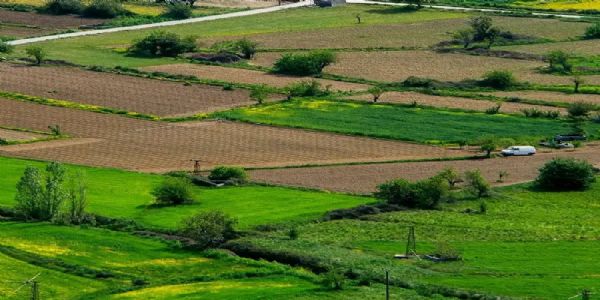 निओलिव्हने प्रकल्पासाठी पनवेल-खोपोली परिसरात ७६ एकर जमीनची केली खरेदी