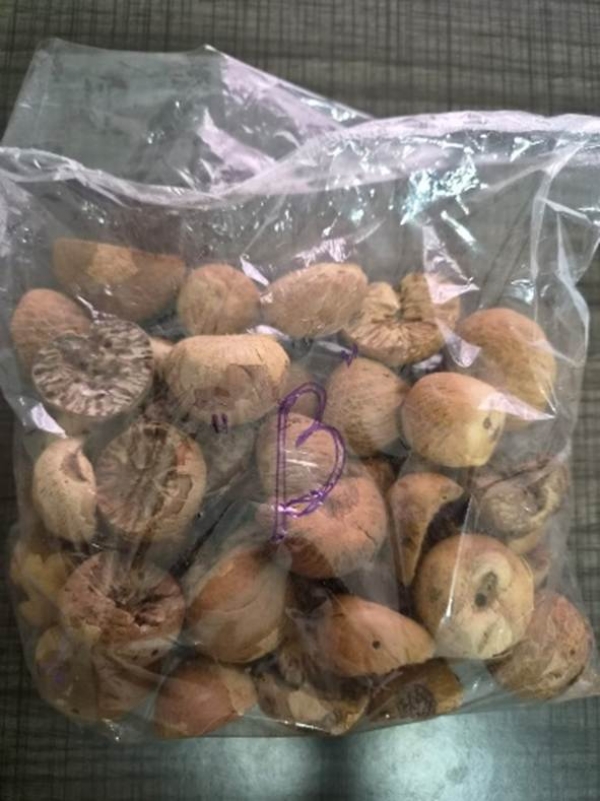 DRI seizes 60000 kg smuggled foreign betel nut DRI seizes 60000 kg smuggled foreign betel nut