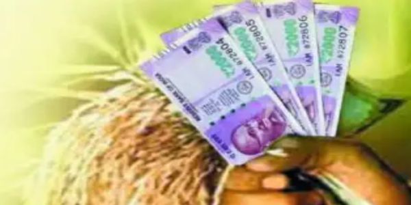 अमरावतीतील ५२ हजार शेतकऱ्यांना ७५७ कोटींचे खरीप पीककर्ज वाटप