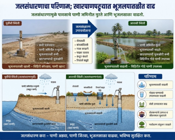 जलसंधारणाचा परिणाम; खारपाणपट्ट्यात भूजलपातळीत वाढ जलसंधारणाचा परिणाम; खारपाणपट्ट्यात भूजलपातळीत वाढ