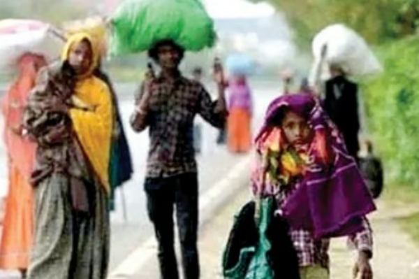 मेळघाटातून चारोळी हद्दपार; आदिवासींच्या पारंपरिक रोजगारावर संकट मेळघाटातून चारोळी हद्दपार; आदिवासींच्या पारंपरिक रोजगारावर संकट