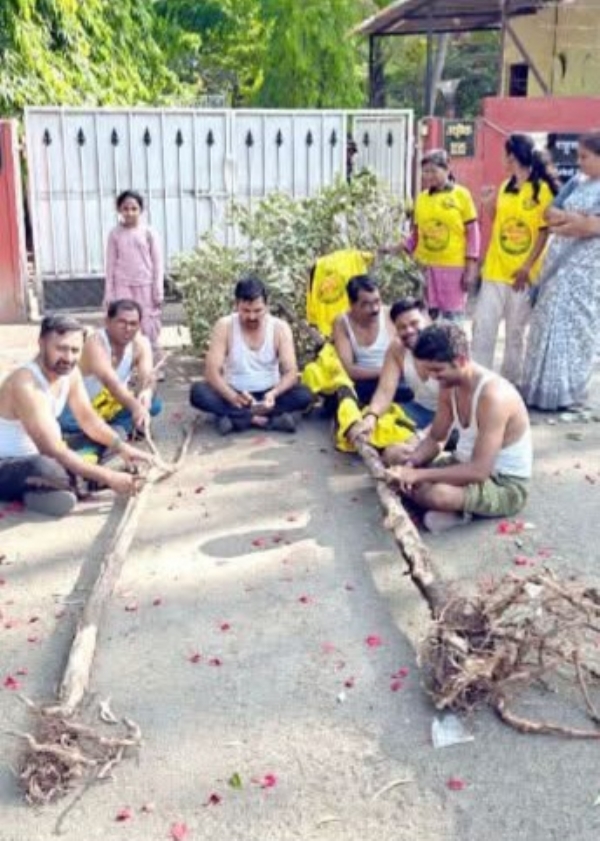वृक्षतोड