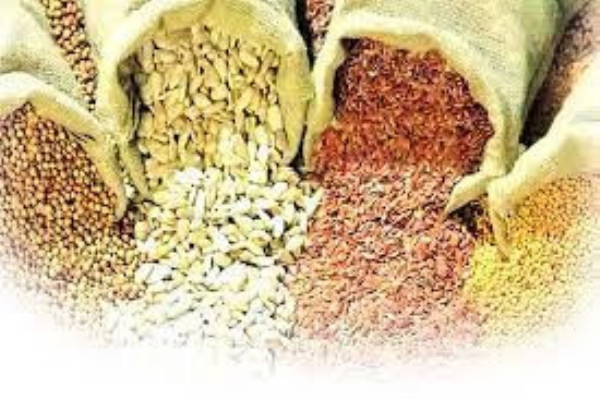 खर्च वाढीचा फटका; सोयाबीन-ज्वारी बियाणे महाग, कापूस दर स्थिर