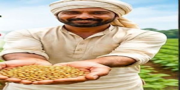 शेतकऱ्यांपर्यंत दर्जेदार बियाणे पोहोचवण्यासाठी संस्थांकडून अर्ज मागविले