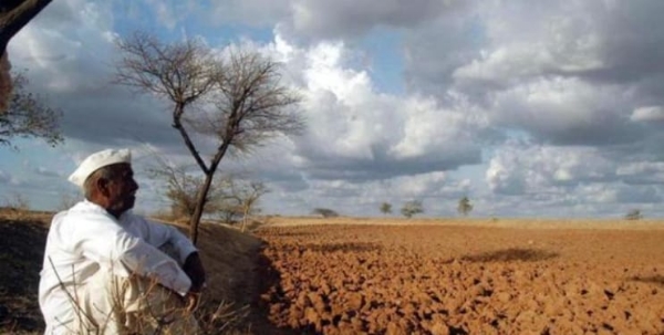 All eyes turned to the sky; Farmers in distress due to lack of rain. All eyes turned to the sky; Farmers in distress due to lack of rain.