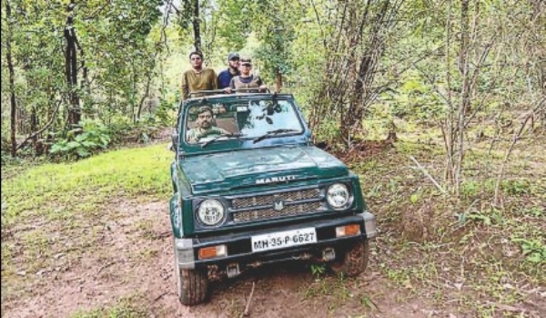 मेळघाट जंगल सफारीला 15 दिवसांची मुदतवाढ