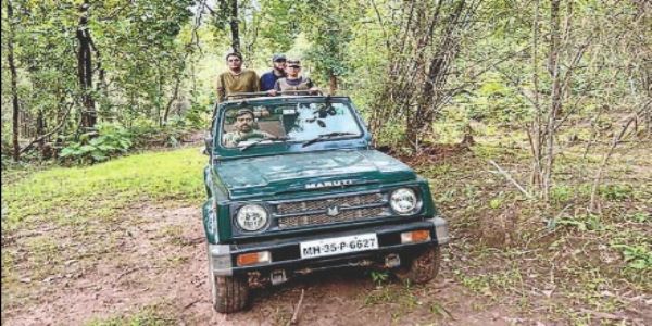 मेळघाट जंगल सफारीला 15 दिवसांची मुदतवाढ
