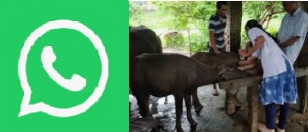 Veterinary-services-now-at-far