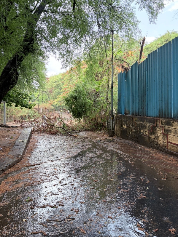 Rain brings relief to